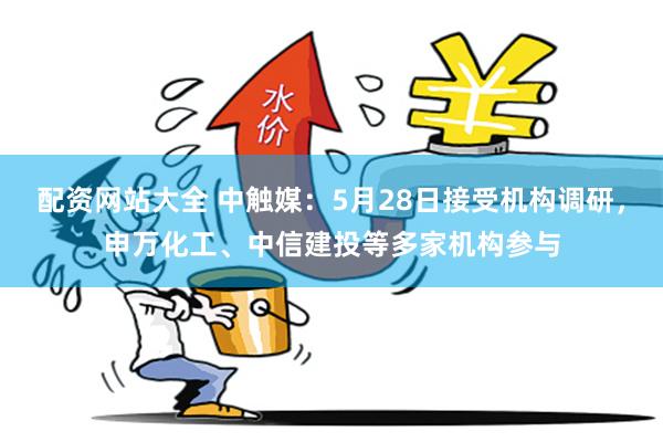 配资网站大全 中触媒：5月28日接受机构调研，申万化工、中信建投等多家机构参与