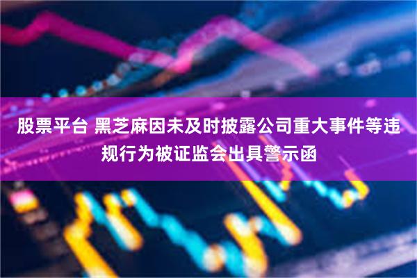 股票平台 黑芝麻因未及时披露公司重大事件等违规行为被证监会出具警示函