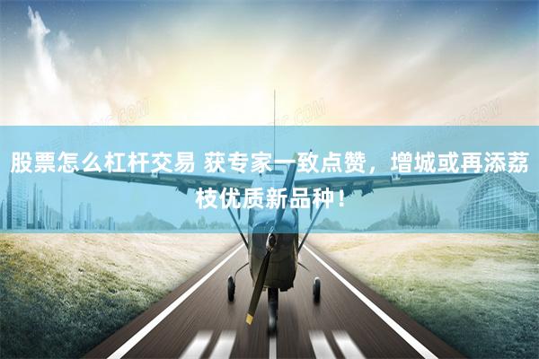 股票怎么杠杆交易 获专家一致点赞,增城或再添荔枝优质新品种!