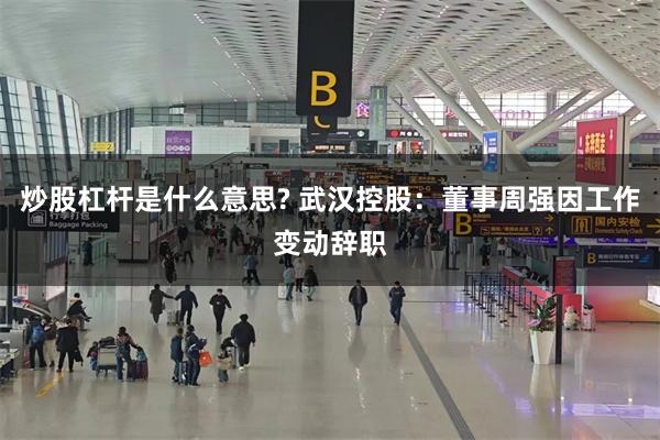 炒股杠杆是什么意思? 武汉控股：董事周强因工作变动辞职