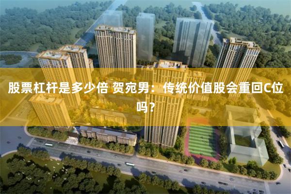 股票杠杆是多少倍 贺宛男：传统价值股会重回C位吗？