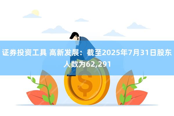 证券投资工具 高新发展：截至2025年7月31日股东人数为62,291