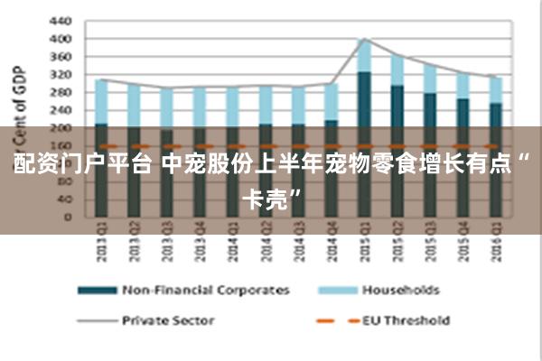 配资门户平台 中宠股份上半年宠物零食增长有点“卡壳”