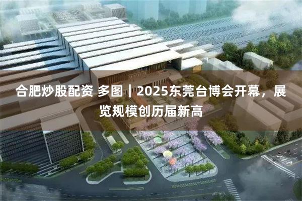 合肥炒股配资 多图｜2025东莞台博会开幕，展览规模创历届新高