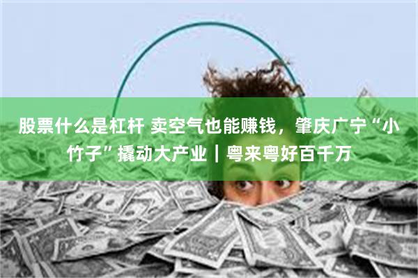 股票什么是杠杆 卖空气也能赚钱,肇庆广宁“小竹子”撬动大产业|粤来粤好百千万