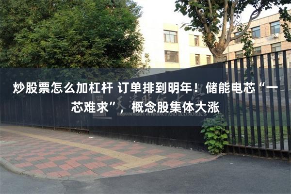炒股票怎么加杠杆 订单排到明年!储能电芯“一芯难求”,概念股集体大涨
