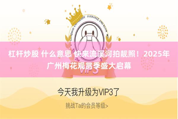 杠杆炒股 什么意思 快来流溪河拍靓照！2025年广州梅花观赏季盛大启幕