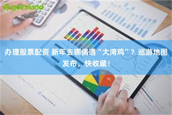 办理股票配资 新年去哪偶遇“大湾鸡”？巡游地图发布，快收藏！