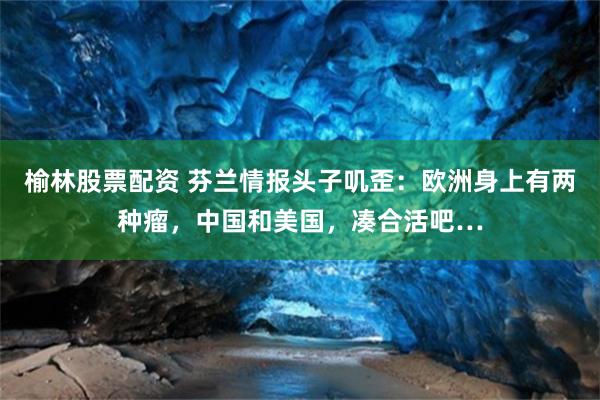 榆林股票配资 芬兰情报头子叽歪:欧洲身上有两种瘤,中国和美国,凑合活吧…