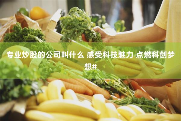 专业炒股的公司叫什么 感受科技魅力 点燃科创梦想#