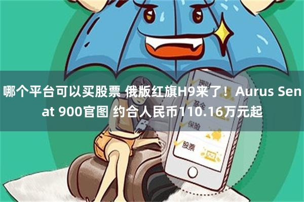哪个平台可以买股票 俄版红旗H9来了！Aurus Senat 900官图 约合人民币110.16万元起