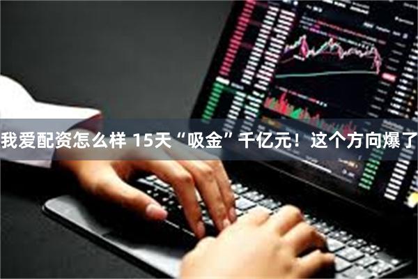 我爱配资怎么样 15天“吸金”千亿元！这个方向爆了