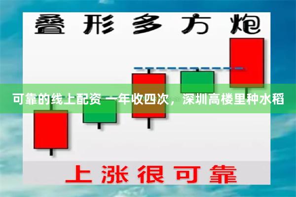 可靠的线上配资 一年收四次，深圳高楼里种水稻