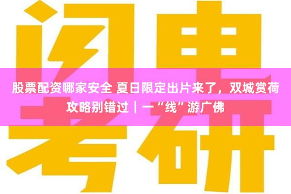 股票配资哪家安全 夏日限定出片来了，双城赏荷攻略别错过｜一“线”游广佛