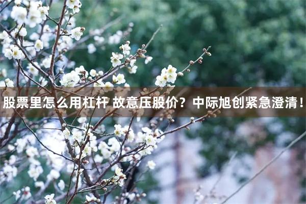 股票里怎么用杠杆 故意压股价?中际旭创紧急澄清!
