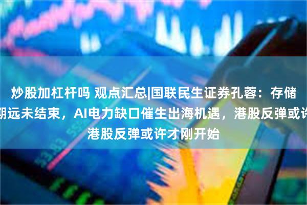 炒股加杠杆吗 观点汇总|国联民生证券孔蓉：存储的超级周期远未结束，AI电力缺口催生出海机遇，港股反弹或许才刚开始