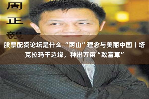 股票配资论坛是什么 “两山”理念与美丽中国丨塔克拉玛干边缘,种出万亩“致富草”
