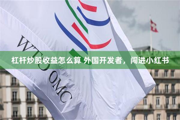 杠杆炒股收益怎么算 外国开发者，闯进小红书