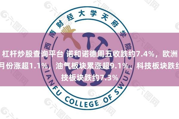杠杆炒股查询平台 诺和诺德周五收跌约7.4%，欧洲股市7月份涨超1.1%，油气板块累涨超9.1%、科技板块跌约7.3%