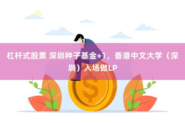 杠杆式股票 深圳种子基金+1，香港中文大学（深圳）入场做LP
