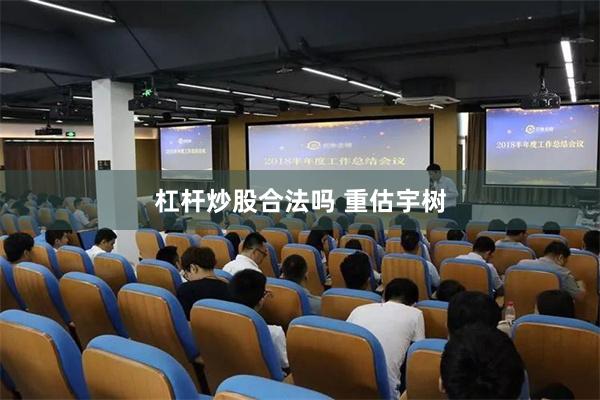 杠杆炒股合法吗 重估宇树