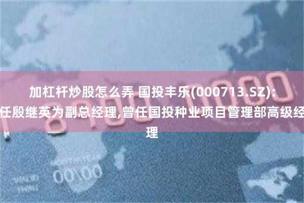 加杠杆炒股怎么弄 国投丰乐(000713.SZ):聘任殷继英为副总经理,曾任国投种业项目管理部高级经理