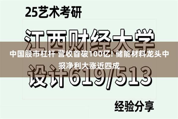 中国股市杠杆 营收首破100亿! 储能材料龙头中报净利大涨近四成