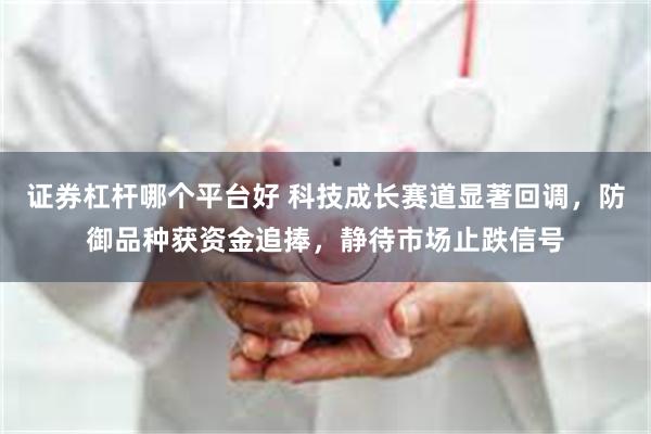 证券杠杆哪个平台好 科技成长赛道显著回调，防御品种获资金追捧，静待市场止跌信号