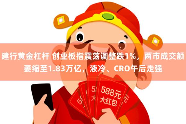 建行黄金杠杆 创业板指震荡调整跌1%，两市成交额萎缩至1.83万亿，液冷、CRO午后走强