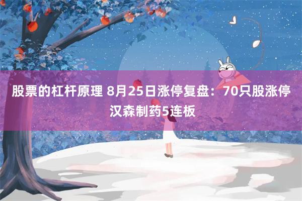 股票的杠杆原理 8月25日涨停复盘：70只股涨停 汉森制药5连板