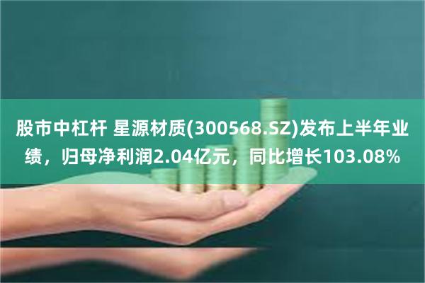 股市中杠杆 星源材质(300568.SZ)发布上半年业绩，归母净利润2.04亿元，同比增长103.08%