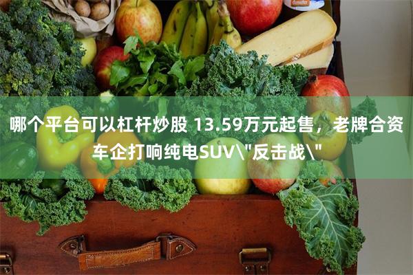 哪个平台可以杠杆炒股 13.59万元起售，老牌合资车企打响纯电SUV