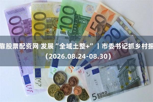 可靠股票配资网 发展“全域土整+”丨市委书记抓乡村振兴（2026.08.24-08.30）