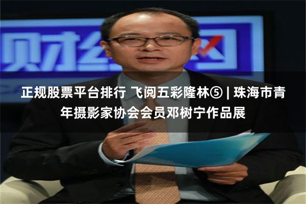 正规股票平台排行 飞阅五彩隆林⑤ | 珠海市青年摄影家协会会员邓树宁作品展