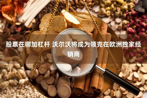 股票在哪加杠杆 沃尔沃将成为领克在欧洲独家经销商