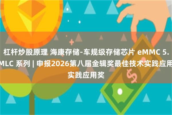 杠杆炒股原理 海康存储-车规级存储芯片 eMMC 5.1 MLC 系列 | 申报2026第八届金辑奖最佳技术实践应用奖