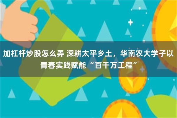 加杠杆炒股怎么弄 深耕太平乡土，华南农大学子以青春实践赋能 “百千万工程”