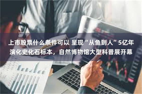 上市股票什么条件可以 呈现“从鱼到人”5亿年演化史化石标本，自然博物馆大型科普展开幕