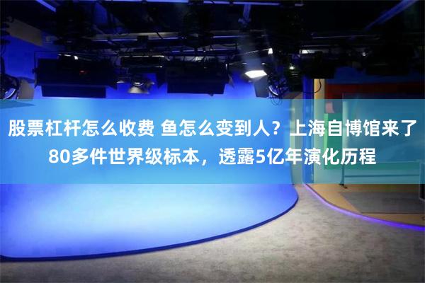 股票杠杆怎么收费 鱼怎么变到人？上海自博馆来了80多件世界级标本，透露5亿年演化历程