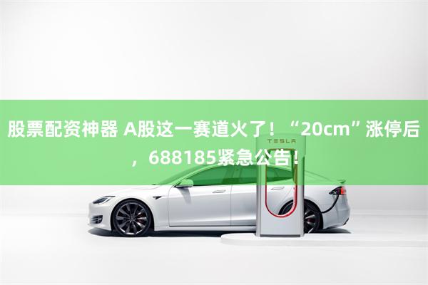 股票配资神器 A股这一赛道火了！“20cm”涨停后，688185紧急公告！