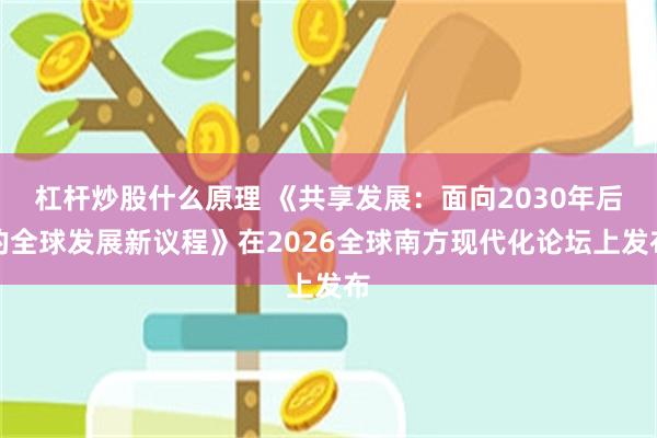 杠杆炒股什么原理 《共享发展：面向2030年后的全球发展新议程》在2026全球南方现代化论坛上发布
