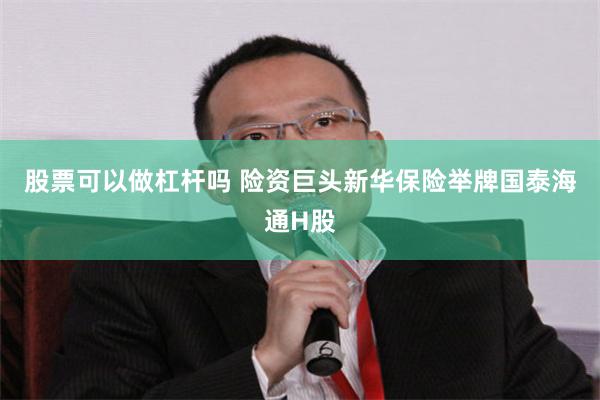 股票可以做杠杆吗 险资巨头新华保险举牌国泰海通H股