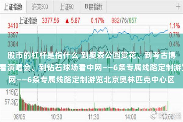 股市的杠杆是指什么 到奥森公园赏花、到考古博物馆看展、到“鸟巢”看演唱会、到钻石球场看中网——6条专属线路定制游览北京奥林匹克中心区