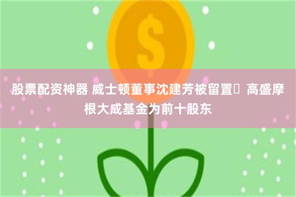股票配资神器 威士顿董事沈建芳被留置 高盛摩根大成基金为前十股东